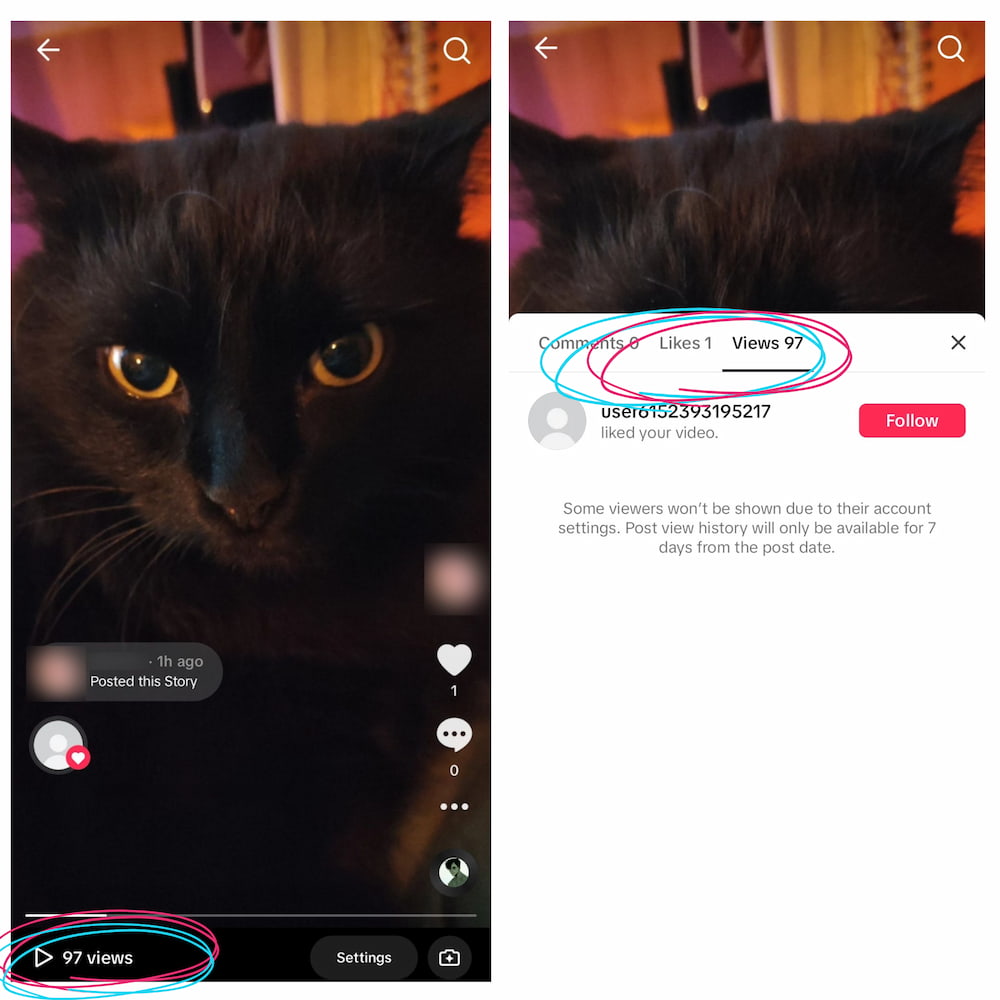 Can You See Who Views Your TikTok Story?