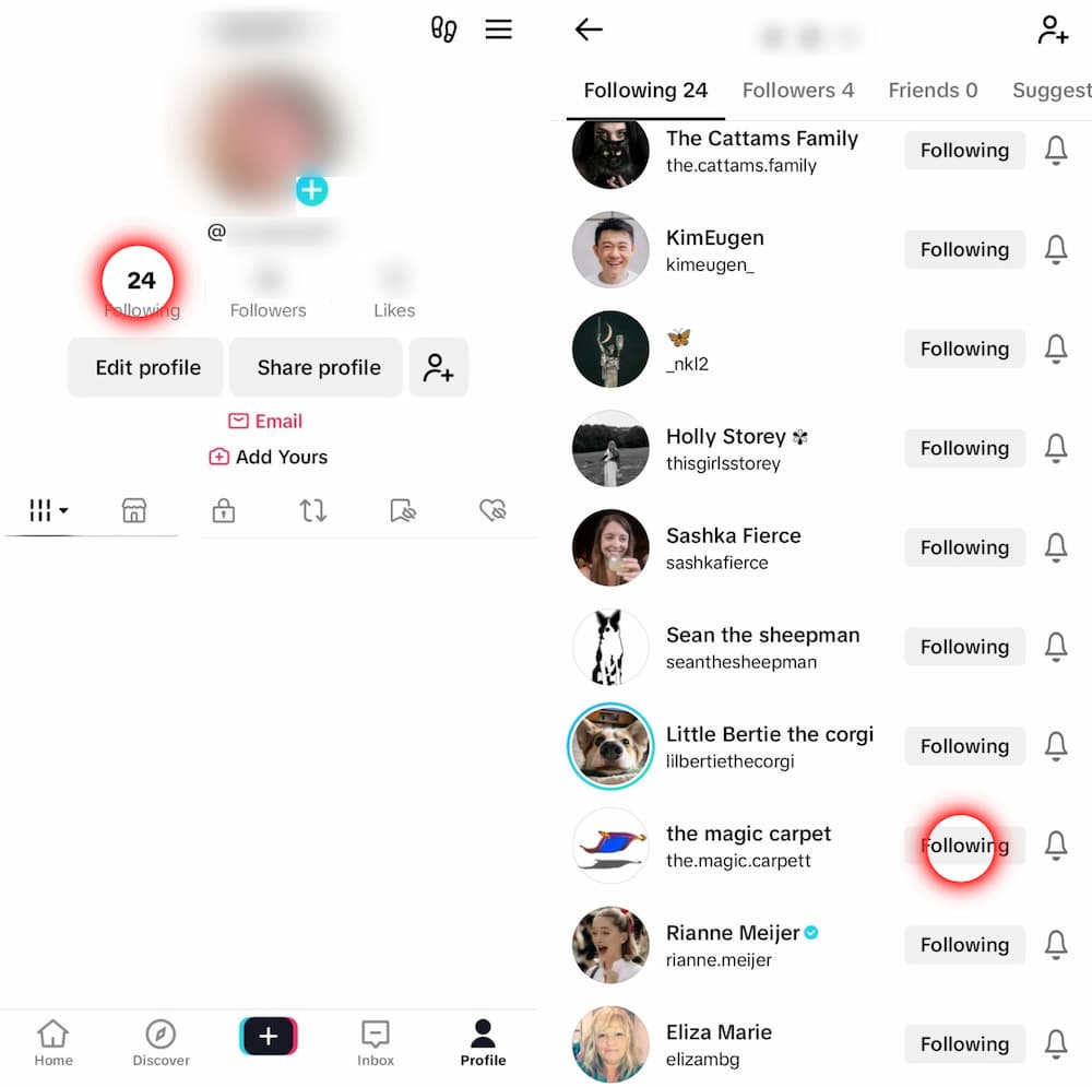 How to Unfollow Everyone on TikTok? — Influensly